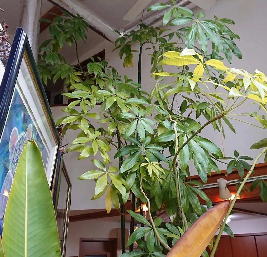 Setagaya-Ku - House - Vacation Stay 16505 Tokyo Japan