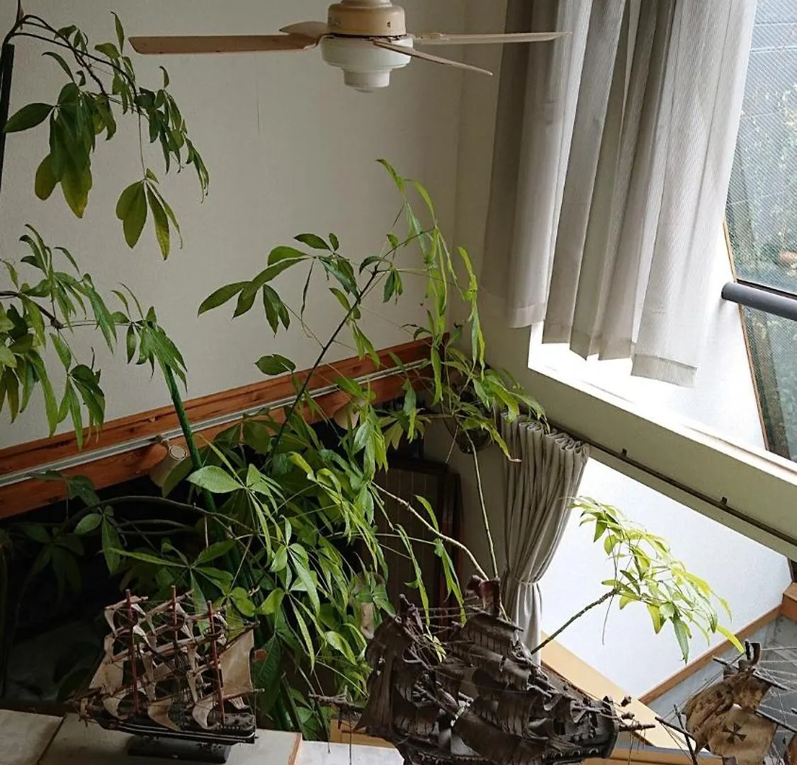 Guest house Setagaya-Ku - House - Vacation Stay 16505 Tokyo