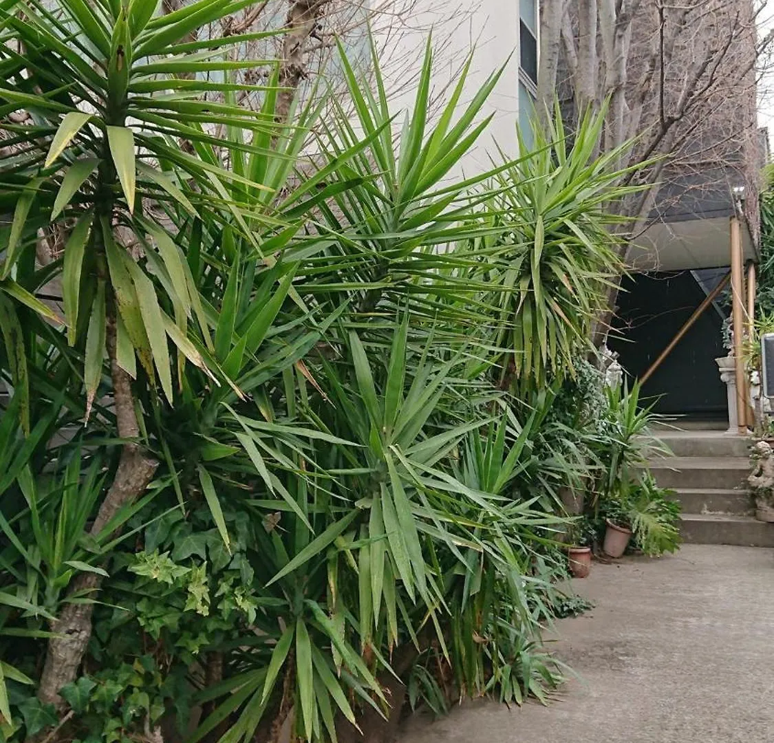 Setagaya-Ku - House - Vacation Stay 16505 Tokyo